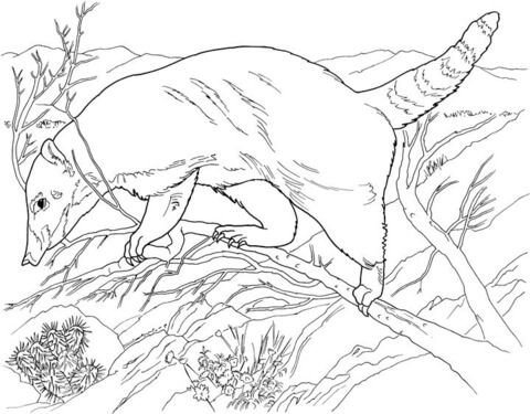 Anteater In Forest Coloring Page